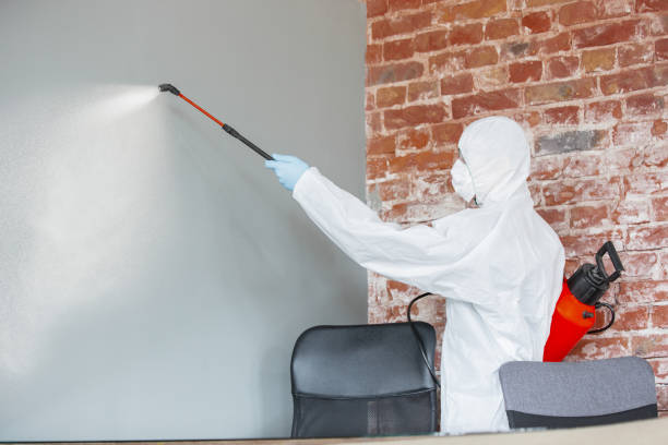 Best Comprehensive Air Testing for Mold Contaminants  in Madison, WV