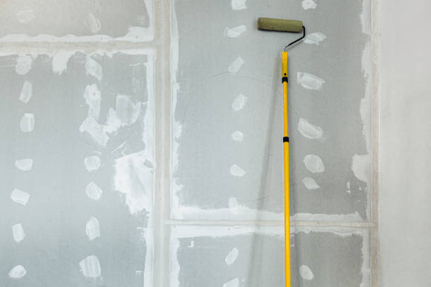 Best Dehumidification Services  in Madison, WV