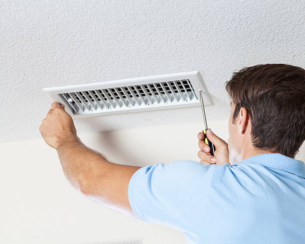 Best Emergency Mold Remediation  in Madison, WV