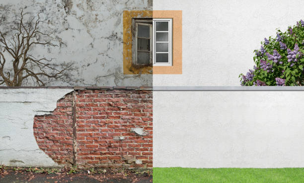 Best Mold Remediation for Rental Properties  in Madison, WV